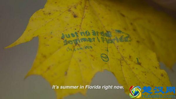 为了让德国人们出国旅游,汉莎航空大开脑洞