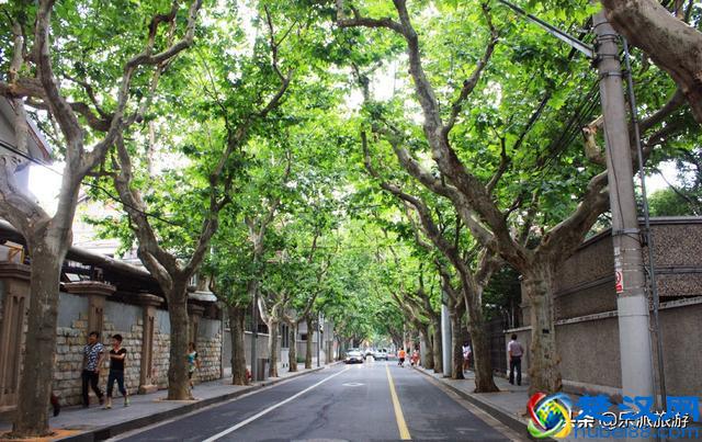 上海十大人气景点，你都去过吗