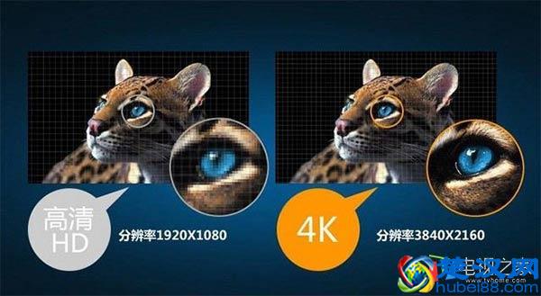 4k电视有必要吗？什么是4K电视 优缺点对比