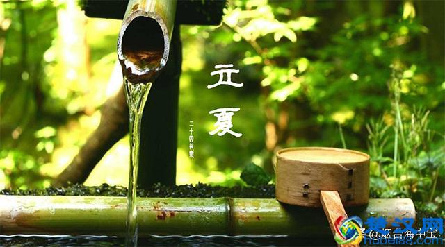 立夏吃什么？这几种应景的蔬菜不要错过！此时此刻最鲜美