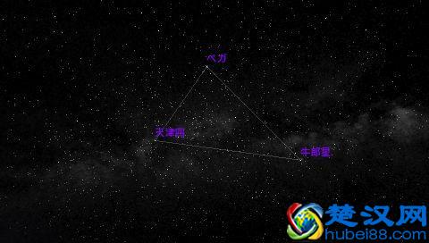牛郎星属于什么星座