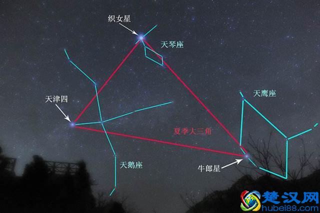 牛郎星属于什么星座