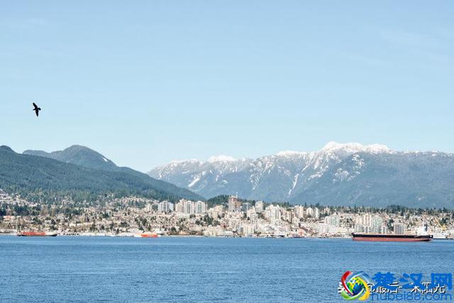 大多数人所理解的“理智”是什么？