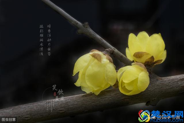 道德经：一个人的锋芒毕露，只会触碰人性弱点