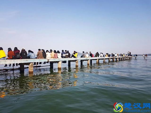 理科女生学什么专业就业前景好 十大职业排名了解一下