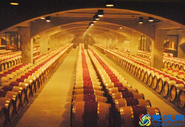 红酒品鉴中经常出现的酒体、单宁、余味、平衡是什么意思