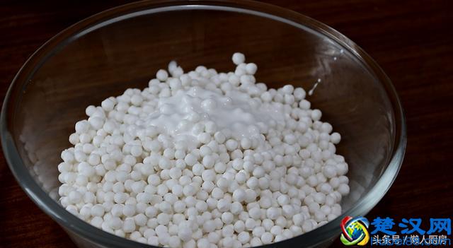 吃腻了糯米粽子，教你用西米做水晶粽子