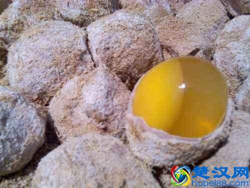 经常吃皮蛋会导致铅中毒吗？营养师用数据告诉你，皮蛋应该怎么吃