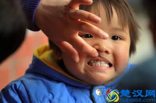 经常吃皮蛋会导致铅中毒吗？营养师用数据告诉你，皮蛋应该怎么吃