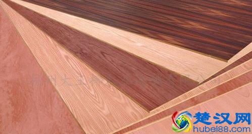 大王椰板材怎么样？大王椰板材最新价格是多少？