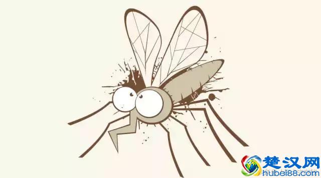 万能的“小苏打”真那么神奇吗？