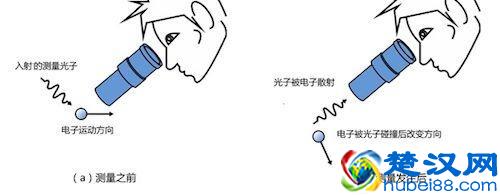 为什么会存在二八法则？