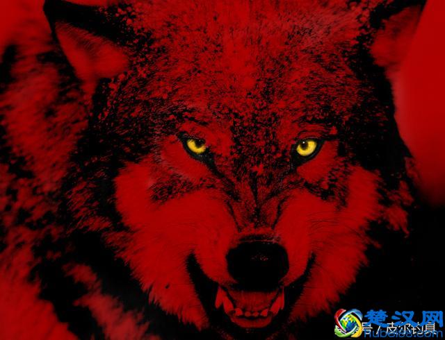 美国红狼十大畅销台钓竿排行榜！