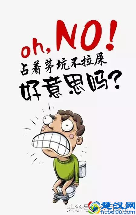 菊粉让你通便更顺畅！