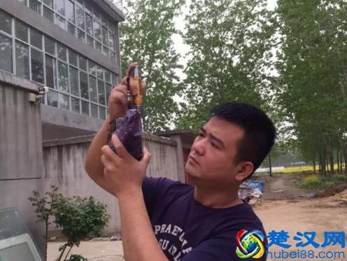 只剩500元冒险开了一家淘宝店，赚出了几套房