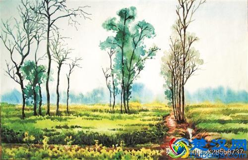 故乡的鸟鸣，魂牵梦绕的故乡情