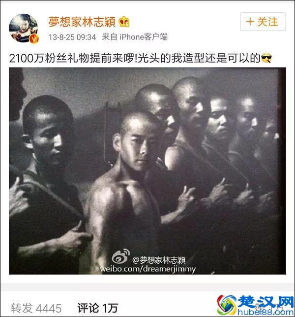 因为用了一张图片，被索赔10万，图片侵权如何避免？