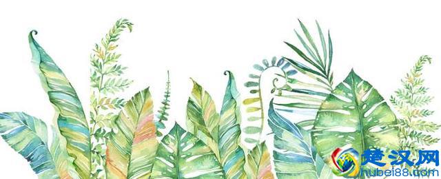 三个步骤教你打造爆款产品，知道了想不挣钱都难！（附案例）