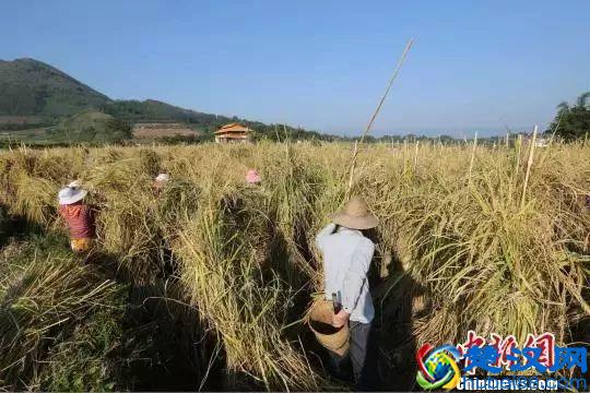 三个步骤教你打造爆款产品，知道了想不挣钱都难！（附案例）