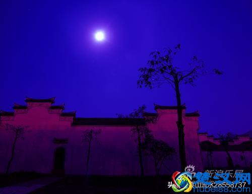 故乡的鸟鸣，魂牵梦绕的故乡情