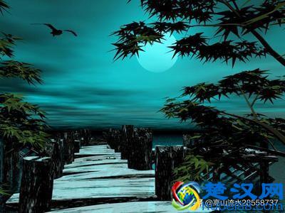 故乡的鸟鸣，魂牵梦绕的故乡情