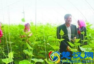 挂职与任职的区别是什么，弄清楚这些知识也是学习