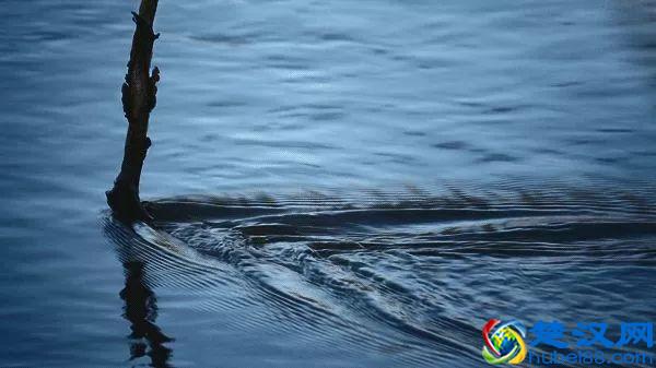 现代人也可以“闭关”，闭关究竟有什么好处？