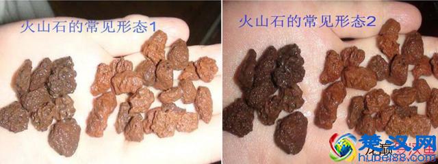 火山石的好处与弊端！