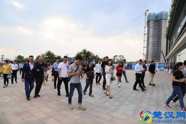 深商名企走进碧桂园十里银滩，百逾深商共聚维港湾