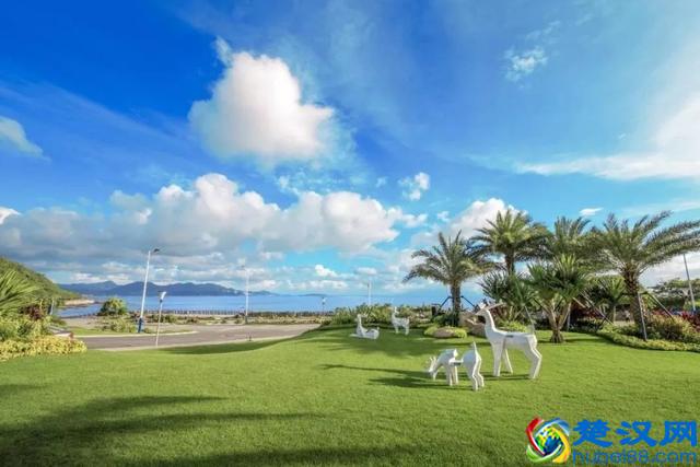 深商名企走进碧桂园十里银滩，百逾深商共聚维港湾