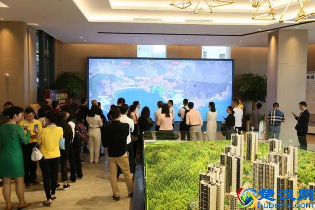 深商名企走进碧桂园十里银滩，百逾深商共聚维港湾