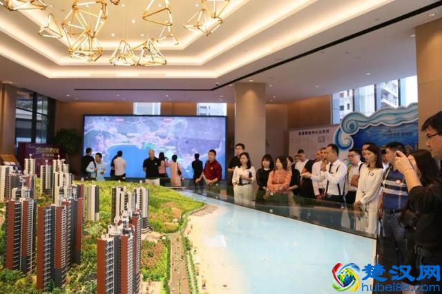 深商名企走进碧桂园十里银滩，百逾深商共聚维港湾