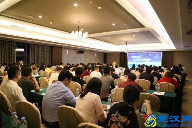 深商名企走进碧桂园十里银滩，百逾深商共聚维港湾