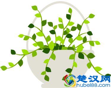 「职来职往」双流中学万科第五城学校招聘教师18名