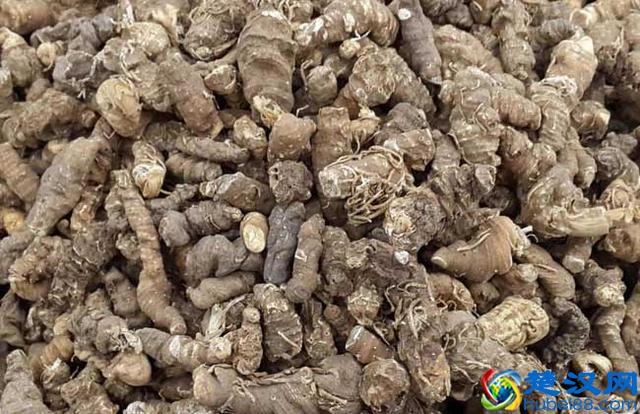 七叶一枝花价格多少钱一斤 七叶一枝花的功效