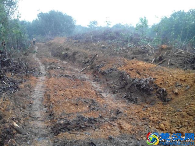 2019年元旦即将到来，农村土地新政策即将公布