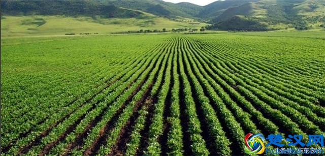 2017年农村土地流转政策：这五种土地流转合同无效