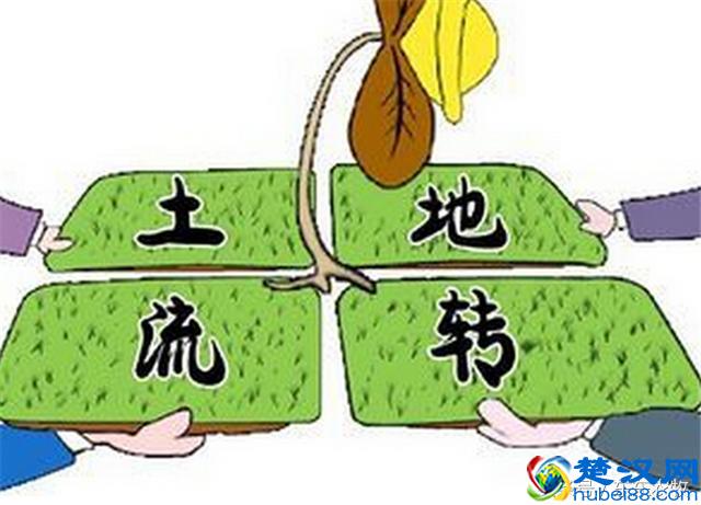 2017年农村土地流转政策：这五种土地流转合同无效