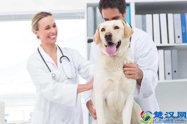 不想上班的23种活法 推荐