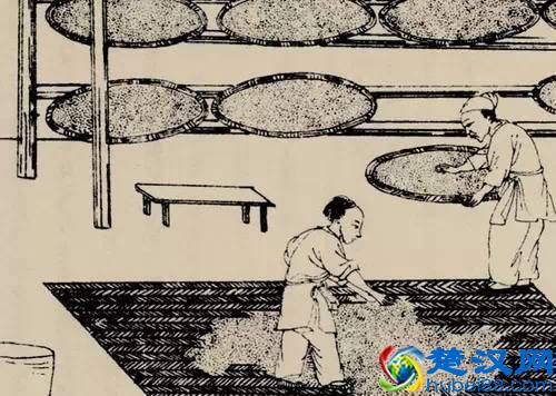 所谓曲为酒之骨：那么“酒曲”到底是什么