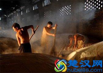 所谓曲为酒之骨：那么“酒曲”到底是什么