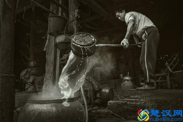 所谓曲为酒之骨：那么“酒曲”到底是什么