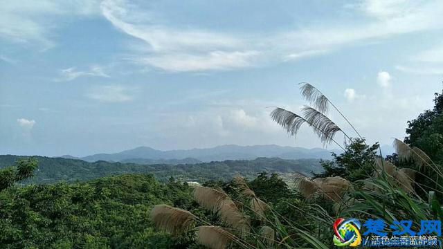 面对别人语言的挑衅，这些是更好的处理办法