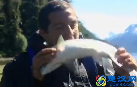 贝尔.格里尔斯：食物链顶端的男人都吃过哪些恶心的食物？