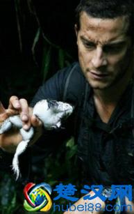 贝尔.格里尔斯：食物链顶端的男人都吃过哪些恶心的食物？