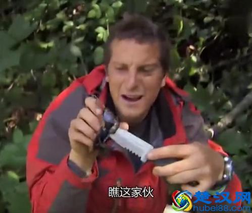 贝尔.格里尔斯：食物链顶端的男人都吃过哪些恶心的食物？