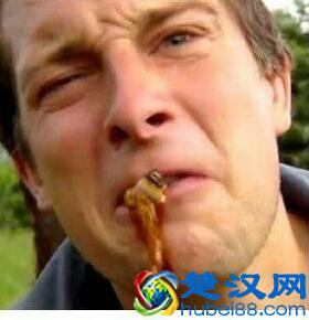 贝尔.格里尔斯：食物链顶端的男人都吃过哪些恶心的食物？