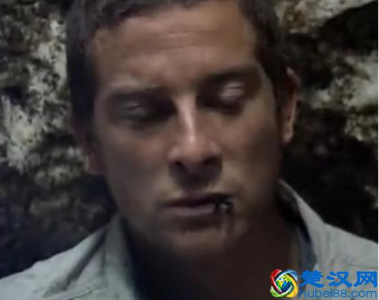 贝尔.格里尔斯：食物链顶端的男人都吃过哪些恶心的食物？