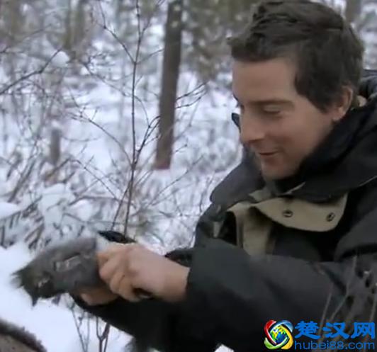 贝尔.格里尔斯：食物链顶端的男人都吃过哪些恶心的食物？