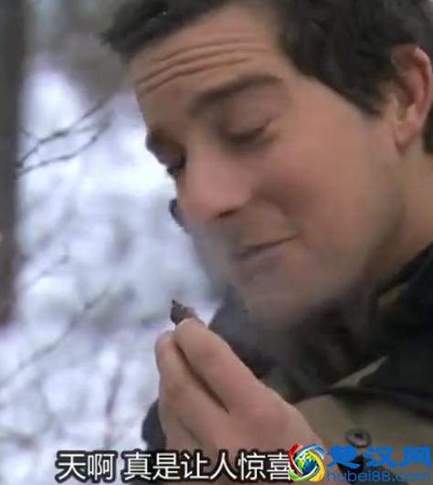 贝尔.格里尔斯：食物链顶端的男人都吃过哪些恶心的食物？